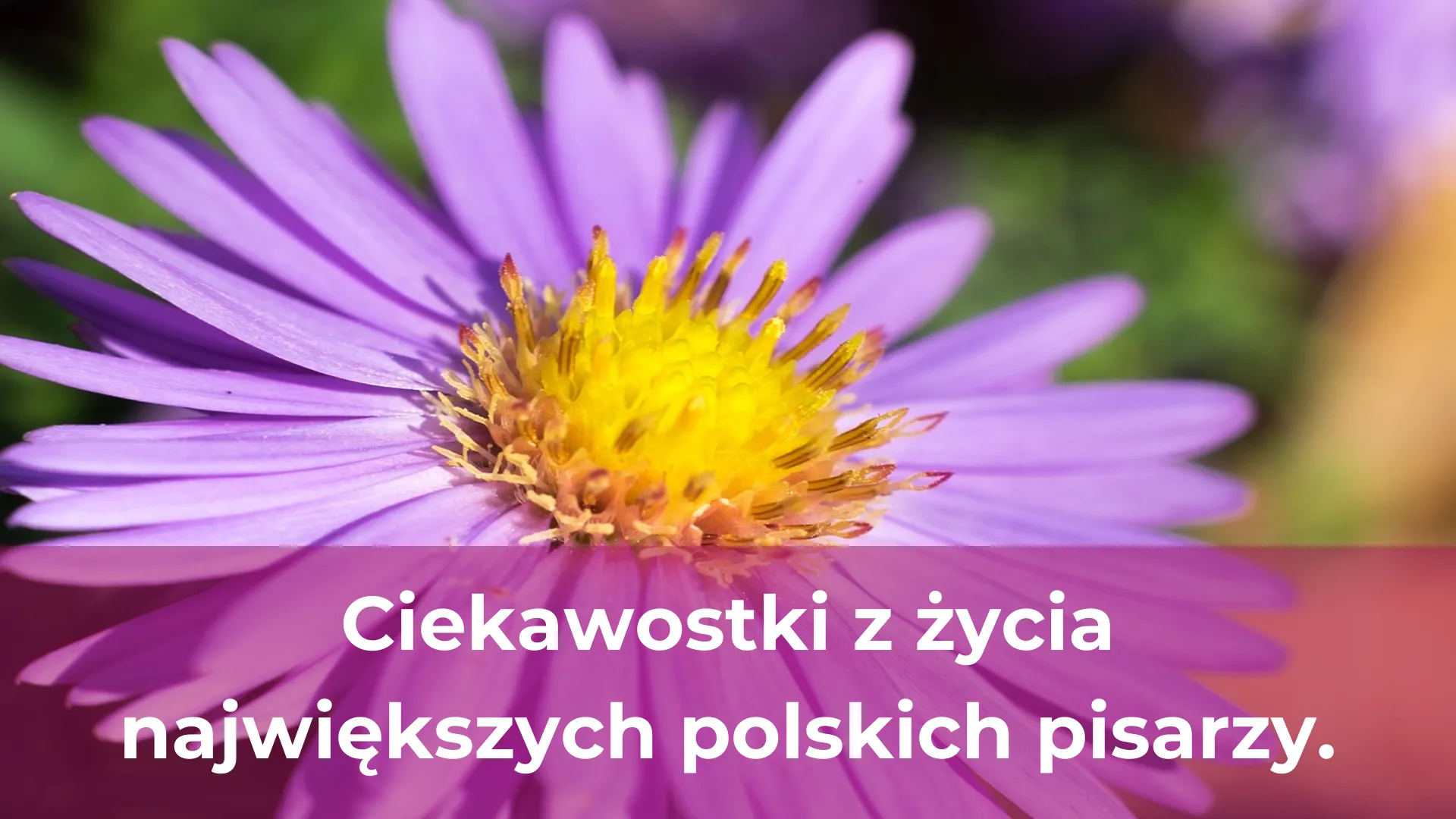 Ciekawostki z życia największych polskich pisarzy