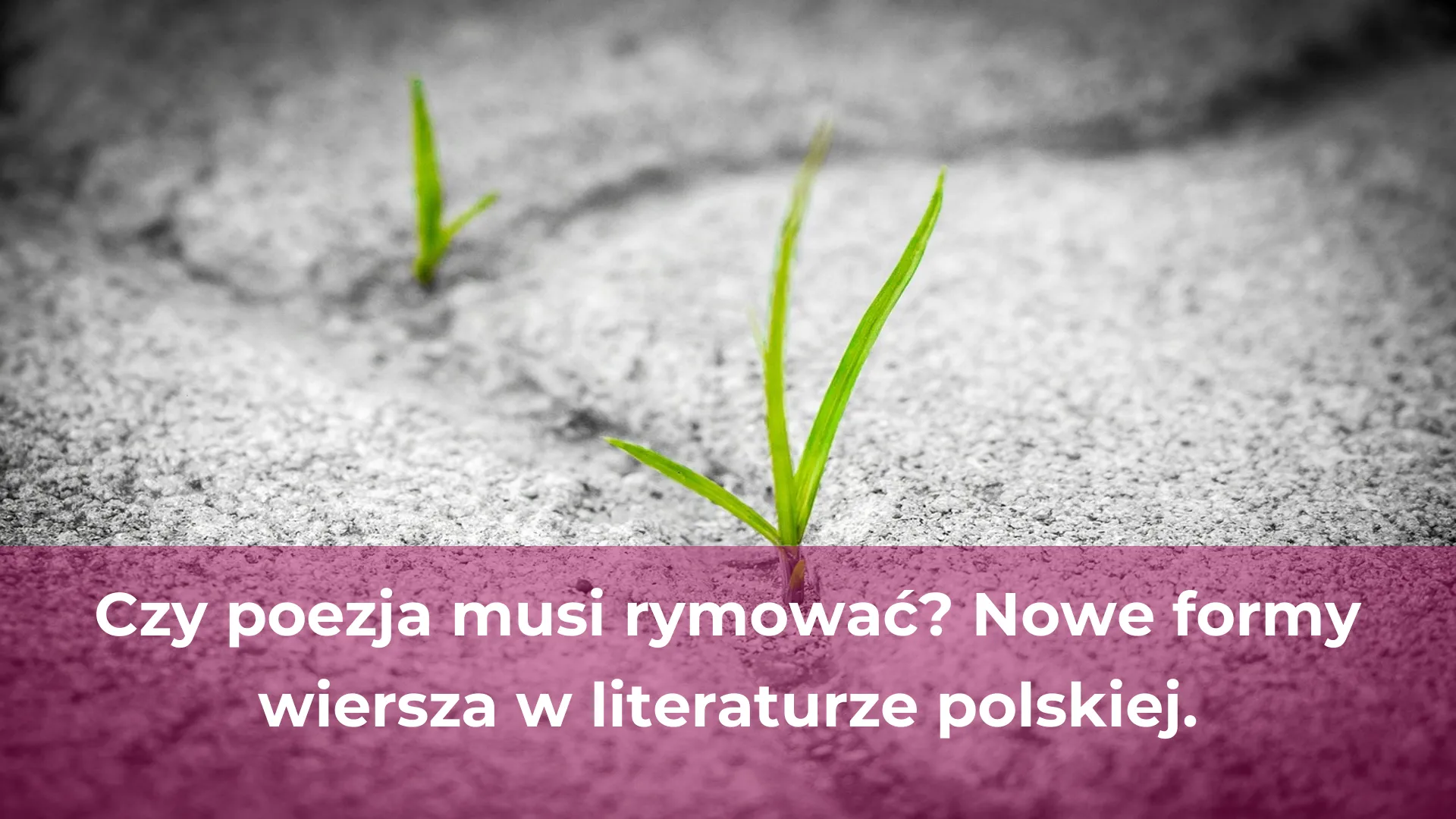 Czy poezja musi rymować nowe formy wiersza w literaturze polskiej