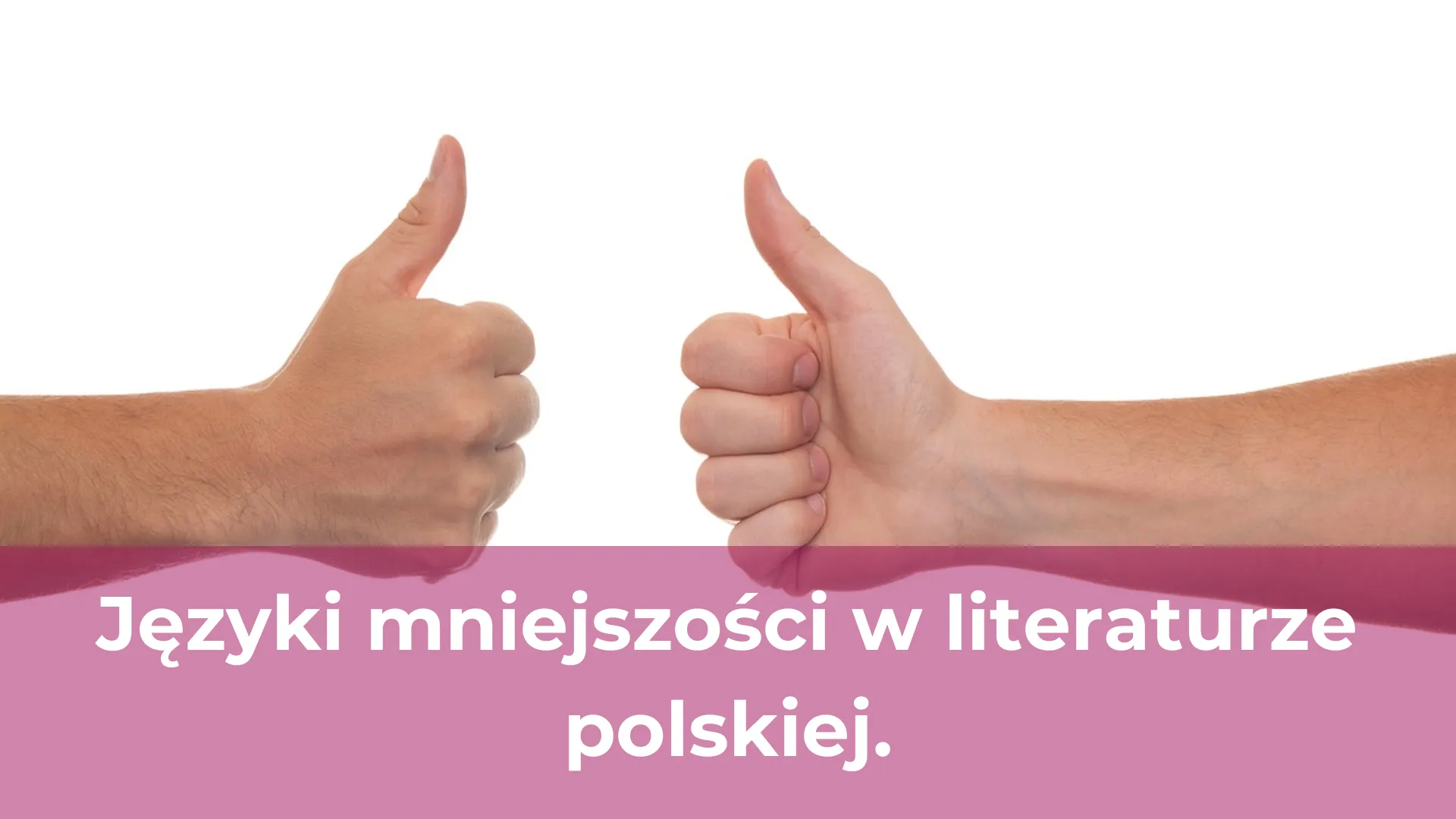 Języki mniejszości w literaturze polskiej