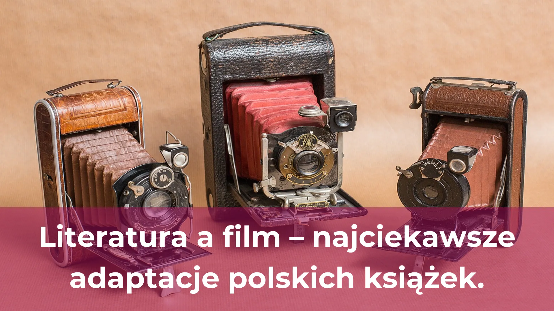 Literatura a film najciekawsze adaptacje polskich książek
